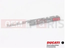 DUCATI 2019 Multistrada 950 S Emblem - Decal Right