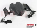 DUCATI 2021 Panigale V4 S Acoperi