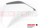 DUCATI 2020 Diavel CAP RH