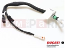 DUCATI 2023 Panigale V4 WIRING