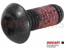 DUCATI 2023 XDiavel S Vis