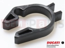 DUCATI 2021 Monster + . FAIRLEAD