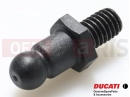 DUCATI 2025 Panigale V4 2 pc - . PIN