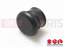 SUZUKI TS100ER X (1999) Cap