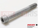 DUCATI 2025 Diavel V4 Screw