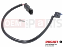 DUCATI 2024 Panigale V4 MICROSWITCH