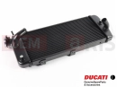 DUCATI 2021 Multistrada V4 Hűtőradiátor