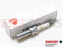 DUCATI 2022 Multistrada V4 Pikes Peak 4 pc - Spark plug
