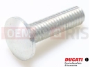 DUCATI 2021 Multistrada V4 Screw (Spec.)