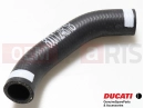 DUCATI 2023 Monster SP SUPPORTO SELLA