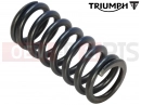 Triumph 2026 TIGER 900 Alpine Clutch Spring