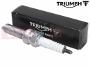 Triumph 2022 Tiger 1200 GT Explorer Spark plug