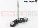 Triumph 2022 Trident 660 Lower Yoke Assembly