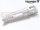 Triumph 2021 SPEED TWIN Footrest Front Right