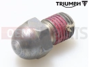 Triumph 2020 Speed Triple S Peg, Bank Angle, 9.2mm