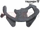 Triumph 2021 SPEED TRIPLE 1200 RS Finisher, Front Subframe