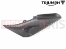 Triumph 2024 Trident 660 Side Panel, RH, Mldg