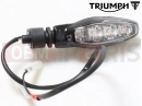 Triumph 2019 TIGER 800 XRT 855532 > Blinker (LED)