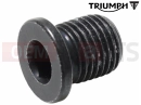 Triumph 2015 THUNDERBIRD COMMANDER Vijak ulja (M14x1,5)