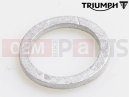 Triumph 2017 THRUXTON R Banjo Washer, M12
