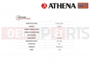 Battery charger & Maintainer (For Lithium Batteries)