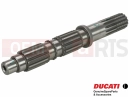 DUCATI 2024 DesertX LAY SHAFT