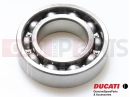 DUCATI 2024 Monster Bearing
