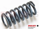 DUCATI 2024 Monster Spring