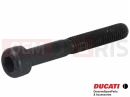 DUCATI 2024 Monster SP 2 pc - Vis