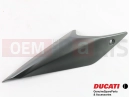 DUCATI 2023 Monster Plus BODY PANEL R.H. GREY