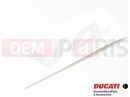 DUCATI 2022 Panigale V4 TRANSFER