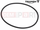 Triumph 2021 Tiger 1200 Alpine O Ring, Alternator, External