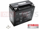 YAMAHA XVS 1300 A Midnight Star XVS1300A (1CS1) 2011 Battery (YTX20L-BS)