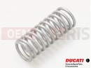 DUCATI 2024 Multistrada V4 Feder