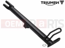 Triumph 2023 Trident 660 Bočna tačka