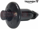 Triumph 2026 THRUXTON 400 Rivet, Snap