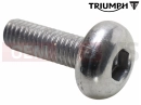 Triumph 2026 TRACKER 400 Screw, Btn Hd, M6 x 1