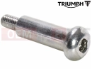 Triumph 2025 Speed 400 Screw, Btn Hd Step, M6 x 1