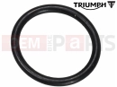 Triumph 2025 Scrambler 400 X Strainer, O Ring