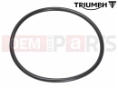 Triumph 2024 Scrambler 400 X O Ring