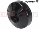 Triumph 2025 Speed 400 End Cap
