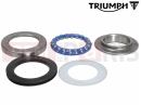 Triumph 2024 Speed 400 Kit, Steering Race