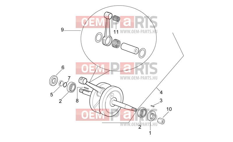 MINARELLI AM6 Drive shaft
