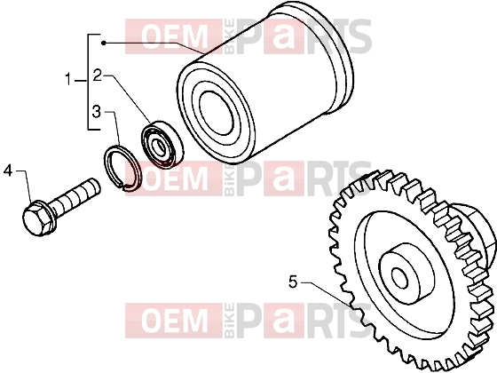 gilera DNA 125 Engine » Torque limiting device - Dampe
