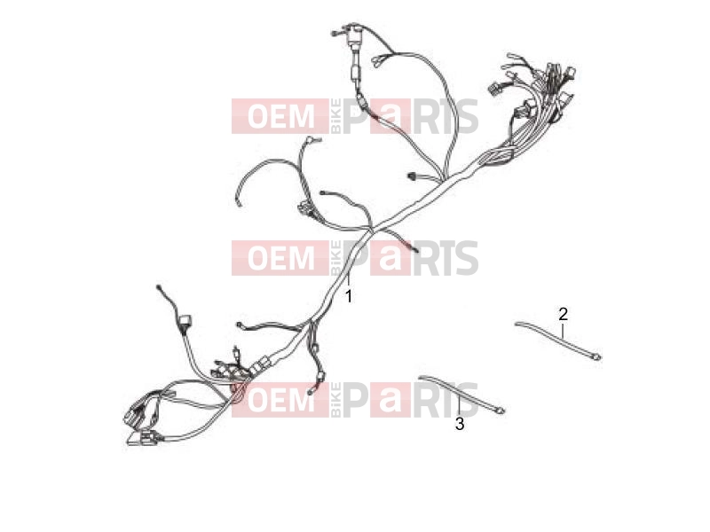 gilera 2010 Oregon 250 Electrical system » Main cable harness