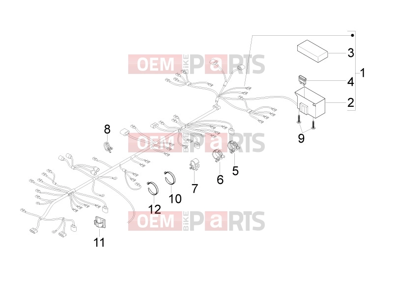 gilera 2015 Runner 50 SP Electrical system » Main cable harness