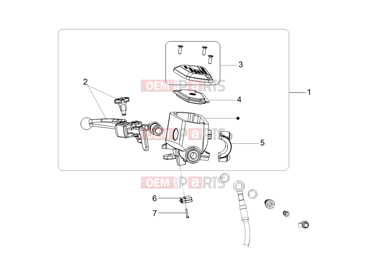 MOTOGUZZI V 85 TT e4 ABS 2019 (EMEA)  Brake system » Front master cilinder