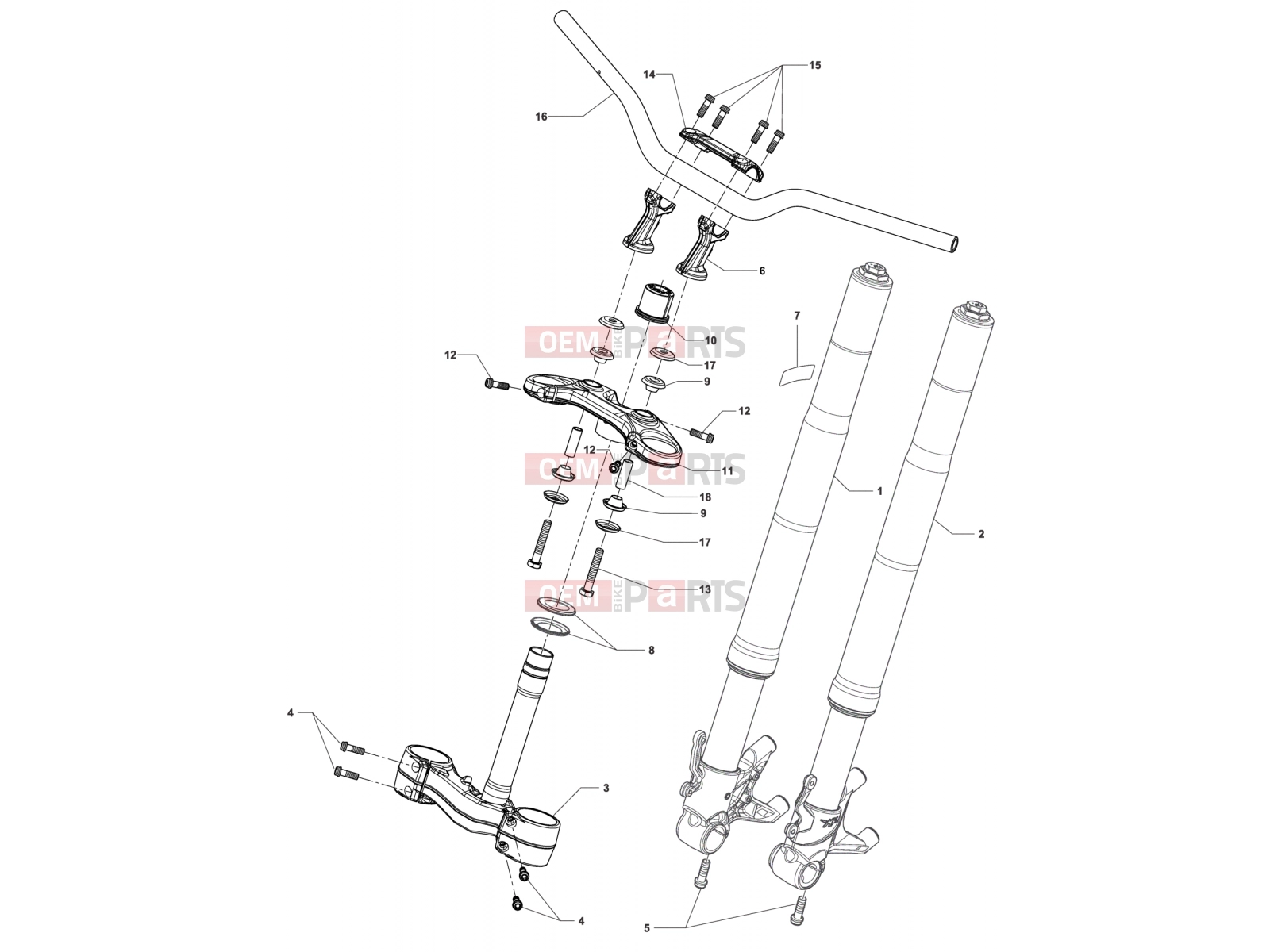 MV Agusta Stradale 800 Front Suspension Assembly