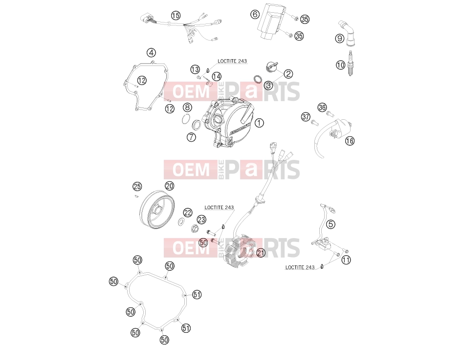 KTM 400 EXC (8303K6) [EU] 2011 IGNITION SYSTEM|Engine|39