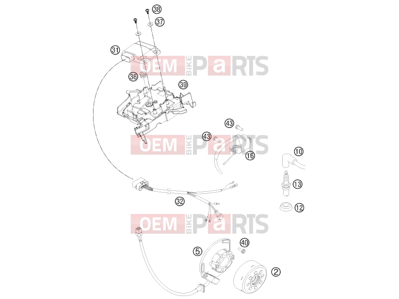 KTM 125 SX (6101K0) [EU] 2011 IGNITION SYSTEM|Engine|39